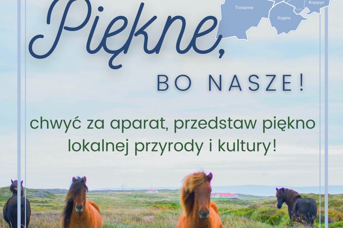 Piękne, bo nasze! – Konkurs fotograficzny