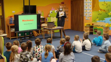 Zajęcia edukacyjne     – „Grzyby”