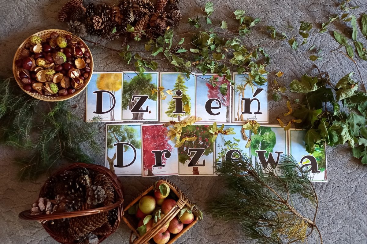 “Dzień drzewa”