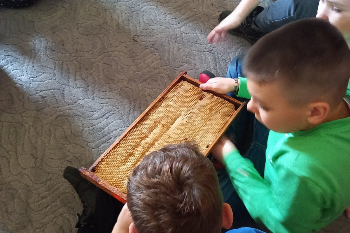 “Co misie lubią najbardziej?”